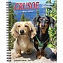 2026 Willow Creek Crusoe the Celebrity Dachshund 6.5" x 8.5" Daily & Monthly Personal Organizer (54611)~#|#~F0F535D2-4421-4CC1-A89C9A8A86B55CA3_sc7