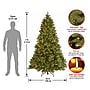 National Tree Company Downswept Douglas Fir Artificial Christmas Tree, 7 ft., Clear Lights (PEDD1-312-70)~#|#~F103B8F4-C3A8-4A04-A234953CEB76AD6A_sc7