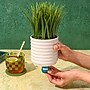 Lifelines ClickWick Woodsy Essential Oil Replacements, .25 oz., 2/Pack (110455)~#|#~F10D1A3B-0252-4D6F-80F19E26B3E7FC52_sc7