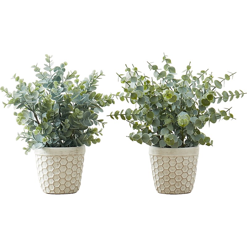 Monarch Specialties Inc. Eucalyptus Grass in Pots, 2/Pack (I 9581) image 1