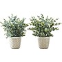 Monarch Specialties Inc. Eucalyptus Grass in Pots, 2/Pack (I 9581)~#|#~F121BE84-29DB-411F-8D691709C4D9CDAA_sc7