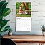 2026 BrownTrout Colts and Fillies 12" x 12" Monthly Wall Calendar (9798330703012)~#|#~F12E3A11-810A-4E49-B09AFDE642E0C3F5_sc7