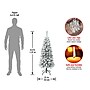 National Tree Company Acacia Artificial Christmas Trees (AC100-504-45F)~#|#~F136680B-B378-47AF-9354A4C2BAA968CF_sc7