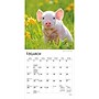 2027 BrownTrout Piglets 7" x 7" Monthly Wall Calendar (9798330709816)~#|#~F156F2E7-8F85-40BF-9C1B2A917EA93FDA_sc7