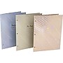 Pukka Pad Haze 3-Hole Punched 2-Pocket Cardstock Portfolio Folders, Assorted Colors, 6/Pack (9980(AST)-HZE)~#|#~F15A5780-B14F-4E6D-A975C24B32F20C9B_sc7