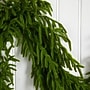 Nearly Natural Pre-Lit Artificial Real Touch Norfolk Island Pine Garland, 9' (W1394)~#|#~F16C486E-48B4-4C93-91003EBA1E649456_sc7