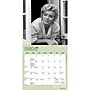 2027 BrownTrout Marilyn Monroe 7" x 7" Monthly Wall Calendar (9798330714834)~#|#~F17BF83D-B0F7-4F53-8467CDE0B32C9358_sc7
