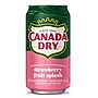 Canada Dry Fruit Splash Strawberry Ginger Ale, Caffeine Free, 12 oz., 24 Cans/Carton (DRP39464)~#|#~F1956BCF-35DF-4283-8CA8DDFF23F5B482_sc7