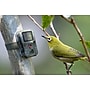 Technaxx TX-117 Mini Nature Wild Cam (4795)~#|#~F1C1D7C7-DD3E-4510-903E956D70380C0F_sc7