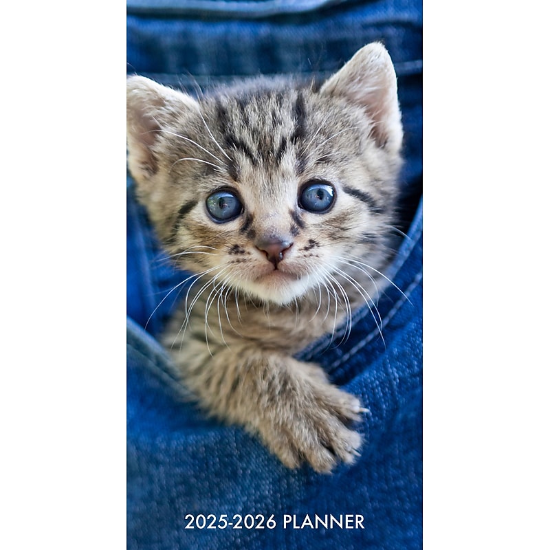 2025-2026 Willow Creek Cute As A Kitten 3.5" x 6.5" Yearly Planner, Paperboard Cover (46944) image 1