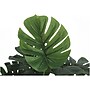 Monarch Specialties Inc. Monstera in Pot (I 9576)~#|#~F1E55580-E31C-4122-89860079243BC951_sc7