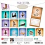 2026 BrownTrout Yoga Cats 12" x 12"  Monthly, Paper Cover, Yoga Cats (9798330701919)~#|#~F1FC1D50-22D9-4DF9-B7D06C1151E1F32B_sc7