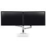 Ergotron LX Dual Adjustable Monitor Arm, Up to 24" Monitor, Polished Aluminum (45-248-026)~#|#~F203832B-A0E4-4B6F-AE822EBE0DE411BD_sc7