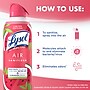 Lysol Air Sanitizer Spray, Summer Watermelon Scent, 10 oz. (19200-95763)~#|#~F20E5675-63BC-446C-92FAA786DBAEB0F3_sc7