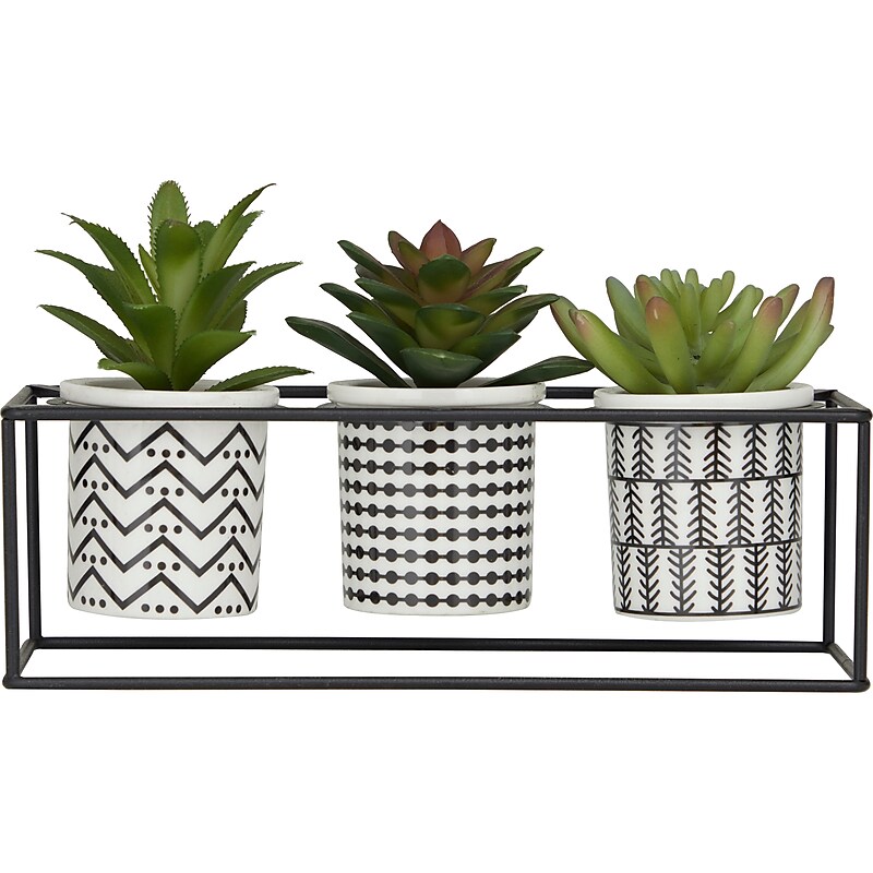 Uma Succulents in Pots (30366) image 1