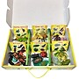 Insect Lore Life Cycle Figurines Set, 24 Pieces (ILP2205)~#|#~F22020CA-8D5B-497B-8CD29A11A8EC9D36_sc7