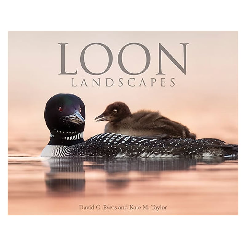 Loon Landscapes, Hardcover image 1