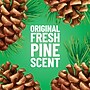 Pine-Sol Disinfecting Multi-Surface Cleaner, Original Pine Scent, 40 fl. oz. (60164)~#|#~F24AE34D-F3F0-42F0-AF328CC77AF7047F_sc7