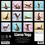 2027 Willow Creek Llama Yoga 12" x 12" Monthly Wall Calendar, Assorted Colors (61084)~#|#~F261D65B-D63B-46AA-A1C4FBB6FFD49805_sc7