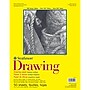 Strathmore 300 Series 11" x 14" Drawing Sketch Pad, 50 Sheets/Pad, 2/Bundle (STTP3401111-2)~#|#~F26AD893-E72F-4AE4-A461EA2EBBD630D8_sc7