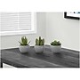 Monarch Specialties Inc. Succulents in Pots, 3/Pack (I 9587)~#|#~F27CE38D-2D68-4415-AD428A79A98C7C2D_sc7