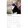 2026 BrownTrout Shiba Inu 12" x 12" Monthly Wall Calendar (9798330705528)~#|#~F2818619-497F-49B7-853D1CBE2DFED284_sc7