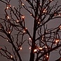 Nearly Natural Pre-Lit Halloween Deluxe Black Twig Artificial Tree, 7' (T5171)~#|#~F2C07AAB-6CED-47A8-AAD4AF5A98F31362_sc7