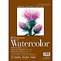 Strathmore 400 Series 9" x 12" Wire Bound Watercolor Sketch Pad, 12 Sheets/Pad, 3/Bundle (STTP440103-3)~#|#~F2F474CE-8669-408A-A7270942CA0B2CA8_sc7