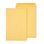 Staples Gummed Kraft Catalog Envelopes, 10"L x 15"H, Brown, 100/Box (SPL534768)~#|#~F323A654-B21A-4535-9381FD76CD83E1BC_sc7