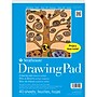 Strathmore 100 Series 9" x 12" Drawing Sketch Pad, 40 Sheets/Pad, 3/Bundle (STTP271091-3)~#|#~F32C9682-ED5B-4763-BB87ED73356481A1_sc7