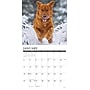 2026 Willow Creek Goldens 12" x 12" Monthly Wall Calendar (51320)~#|#~F360BCD8-AF10-42C7-9D8C84AD754DA96A_sc7