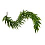 Nearly Natural Artificial Real Touch Norfolk Island Pine Garland, 6' (W1398)~#|#~F361CBA1-5626-4478-92F3582604007955_sc7