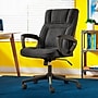 Serta Hannah I Ergonomic Microfiber Swivel Executive Chair, Black (43670D)~#|#~F3962891-AE5E-4479-8CE8A0B5B1F4C828_sc7