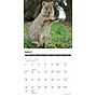 2027 Willow Creek Quokkas 12" x 12" Monthly Wall Calendar, Assorted Colors (61978)~#|#~F3AB8AE2-60BF-4359-AF19EEECB851D358_sc7