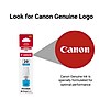 Canon GI-20 Cyan Standard Yield Ink Cartridge Refill (3394C001)~#|#~F3B3BDF4-AE54-4733-BC63FFBDB6BE44D0_sc7