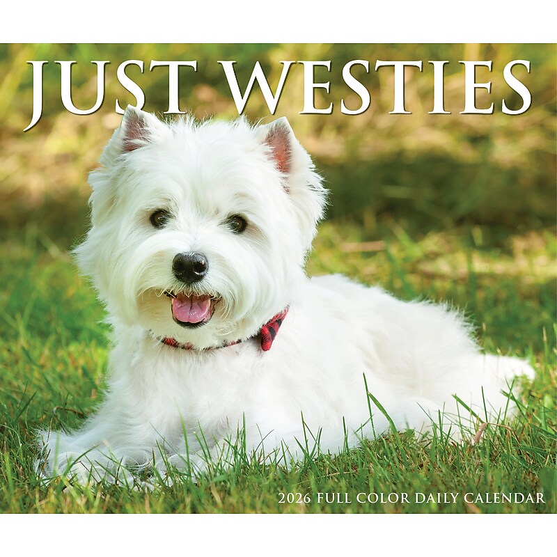 2026 Willow Creek Westies 6.2" x 5.4" Day-to-Day Calendar (54499) image 1