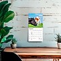 2027 BrownTrout Baby Moo Moos 7" x 7" Monthly Wall Calendar, Assorted Colors (9798330709779)~#|#~F3D59118-AD49-440C-856F7D421DBA0038_sc7