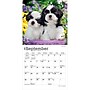 2027 BrownTrout Shih Tzu Puppies 7" x 7" Monthly Wall Calendar (9798330710089)~#|#~F3E47376-44A8-4B86-B4E15AA16478065D_sc7