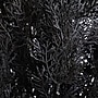Nearly Natural UV Resistant Artificial Halloween Black Cedar Tree, 6' (T5145)~#|#~F3E783B2-1DF6-47B5-BCD94F6C5D8082B7_sc7