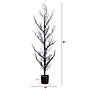 Nearly Natural Pre-Lit Artificial Halloween Black Spooky Twig Tree, 4' (T5235)~#|#~F3E83D79-13BC-4466-B4B01840E80AF2B7_sc7
