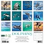 2026 Willow Creek Dolphins 12" x 12" Monthly Wall Calendar (55403)~#|#~F3EE1993-E228-400F-832742D09B91D26B_sc7