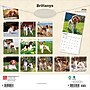 2026 BrownTrout Brittanys 12" x 12" Monthly Wall Calendar (9798330702640)~#|#~F3F74D3D-134A-40CB-8B653FBA776DD67D_sc7