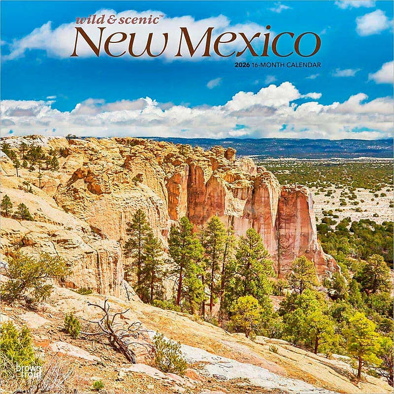 2026 BrownTrout New Mexico Wild & Scenic 12" x 12" Monthly Wall Calendar (9798330704859) image 1