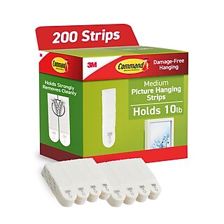 take さま専用 3005091 | Zebra Official Supplies Store