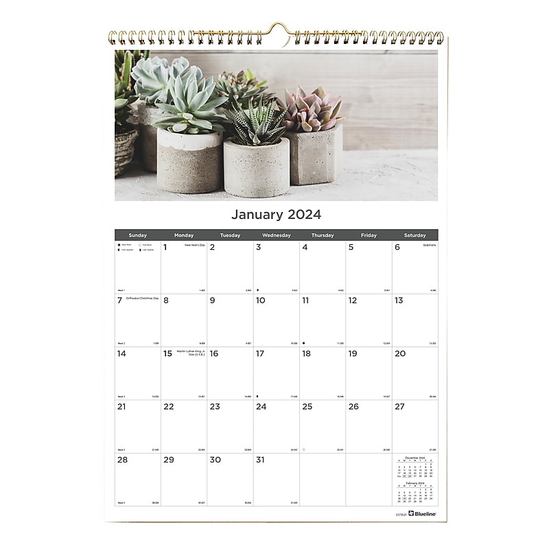 2024 Blueline Succulent Plants 12" x 17" Monthly Wall Calendar (C173121) image 1