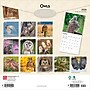 2026 BrownTrout Owls 12" x 12" Monthly Wall Calendar (9798330705054)~#|#~F4275EC2-9DDB-4FE8-BDC8020112AD4B9E_sc7