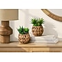 Monarch Specialties Inc. 9" Artificial Succulent Plant in Basket, 2/Set (I 9369)~#|#~F42F2C8D-689B-49A6-81242075416E39F8_sc7