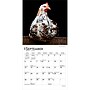 2027 BrownTrout Chickens 7" x 7" Monthly Wall Calendar, Assorted Colors (9798330709786)~#|#~F4371DCC-E9FC-452D-8BAA9B24D3F8B059_sc7