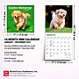 2027 BrownTrout Golden Retriever Puppies 7" x 7" Monthly Wall Calendar, Assorted Colors (9798330710010)~#|#~F441B441-8B30-4C66-89D4D97AF7288049_sc7