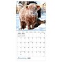 2027 TF Publishing Highland Cows 12" x 12" Monthly Wall Calendar, Multicolored (27-1061)~#|#~F4463908-0DC0-4D7F-AFDE202F8DA391F7_sc7